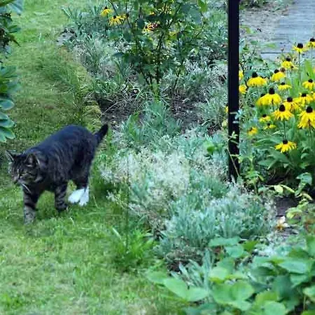 Christine Sellin (Rugen)