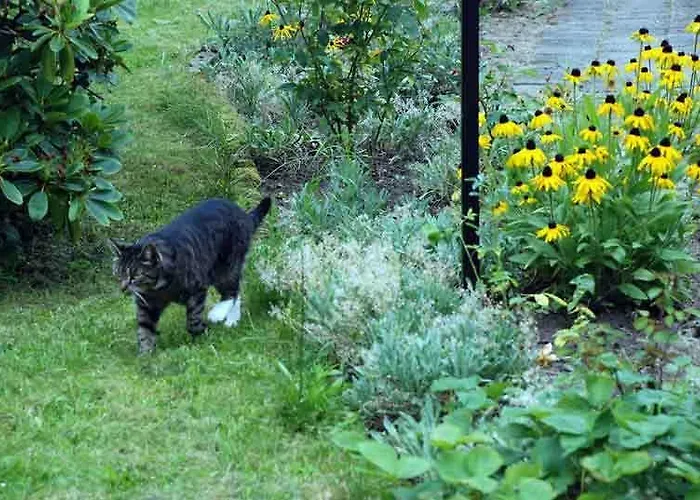 Christine Sellin (Rugen)